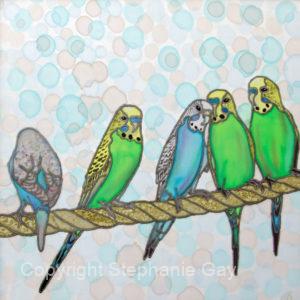 Have You Heard? - gossiping budgies, Original Silk Painting