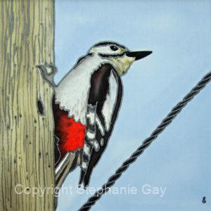 February's Noisy Woodpecker Original Silk Painting