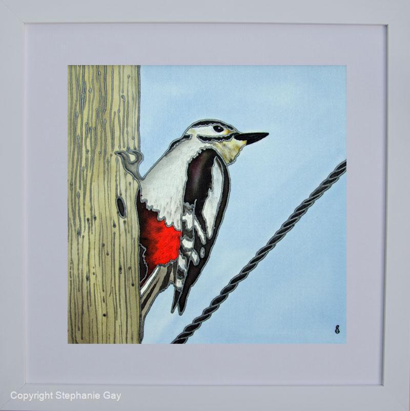 February-Woodpecker-Framed-For-Web