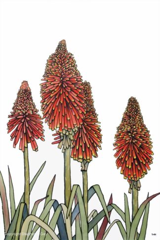 Too Hot to Handle - Red Hot Pokers Original Silk Painting