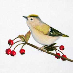 Goldcrest and Berries Original Silk Painting