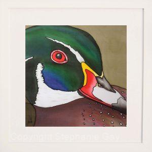 Duckface - Wood Duck Original Silk Painting Framed
