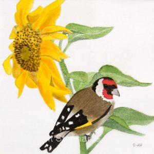 Looking For Lunch - Sunflower and Goldfinch, Original Silk Painting