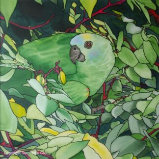 Pretty Polly - Parrot