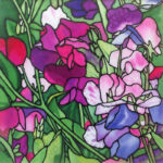 Sweet Peas