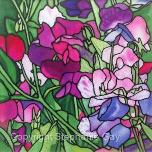 Sweet Peas