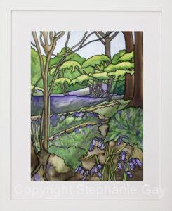 Bluebells at Priors Wood Framed