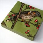 Winter Visitors - Redwing