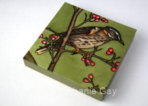 Winter Visitors - Redwing