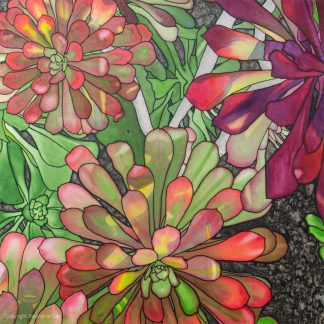 Aeoniums Silk Painting