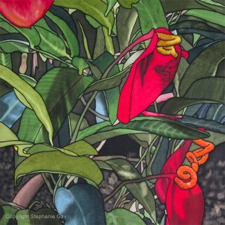 Flamingo Flower (Anthurium)