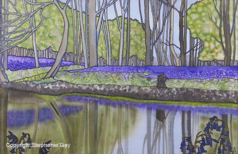 Bluebell Reflections