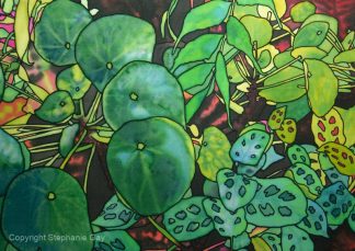 Chinese Money Plant