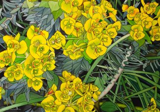 Euphorbia 1 Silk Painting