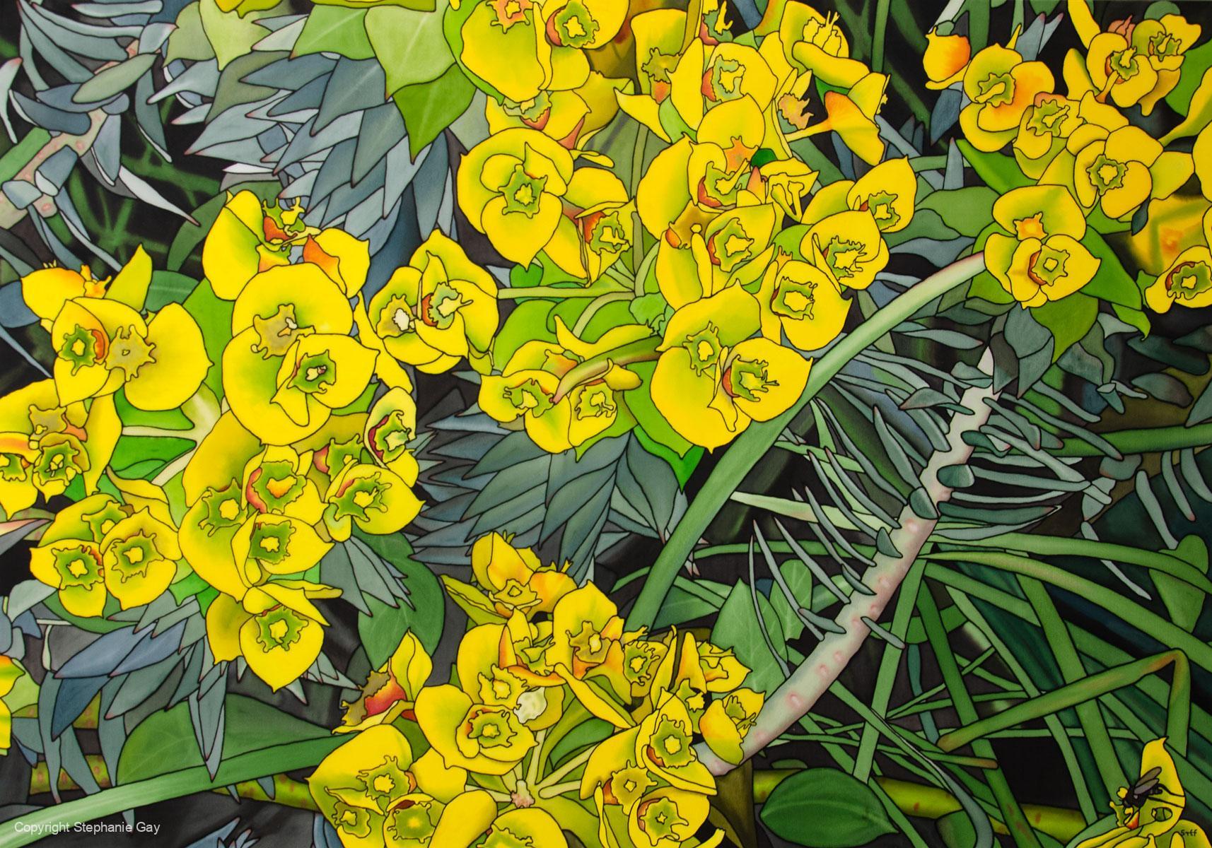 Euphorbia 1 Silk Painting