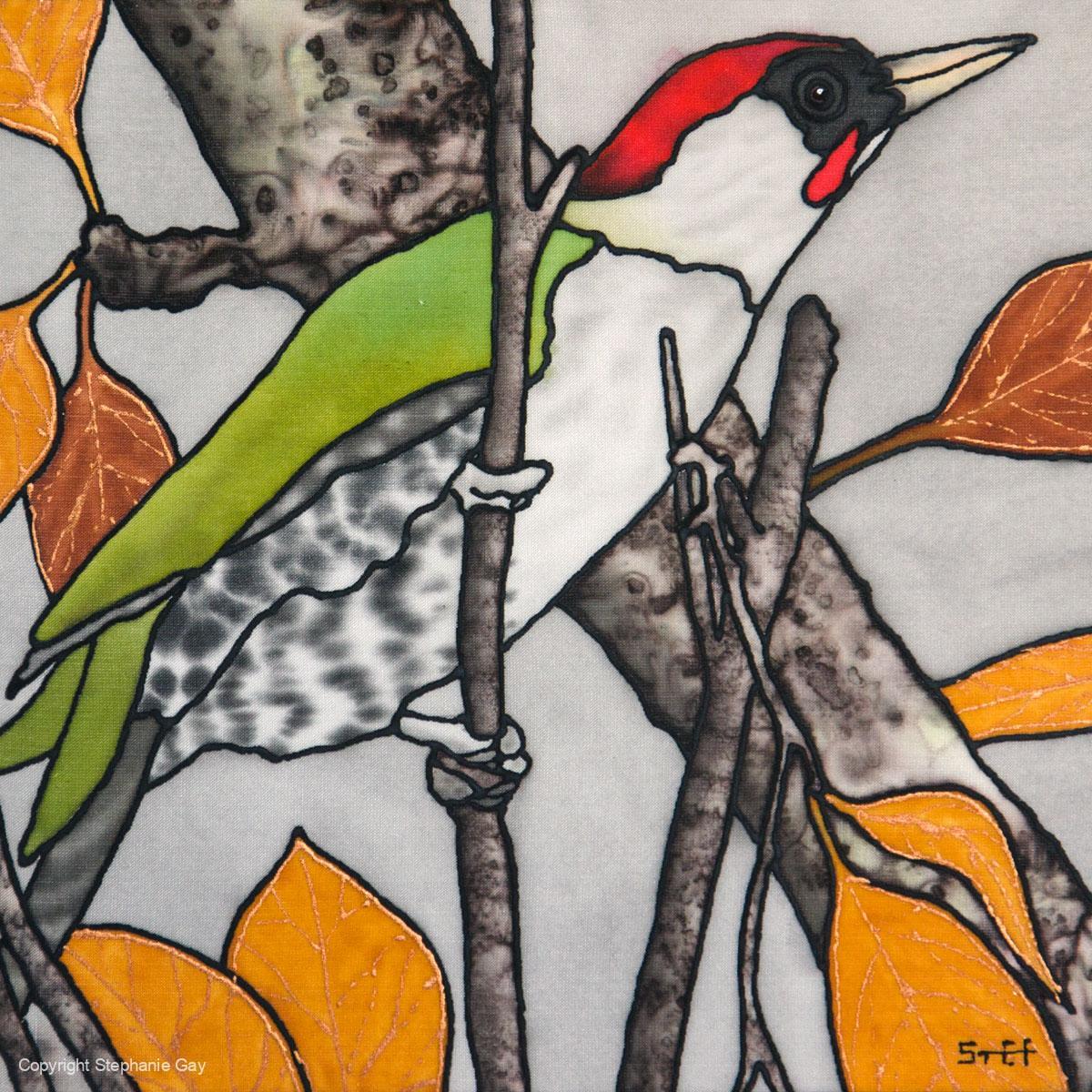 Green Woodpecker 1