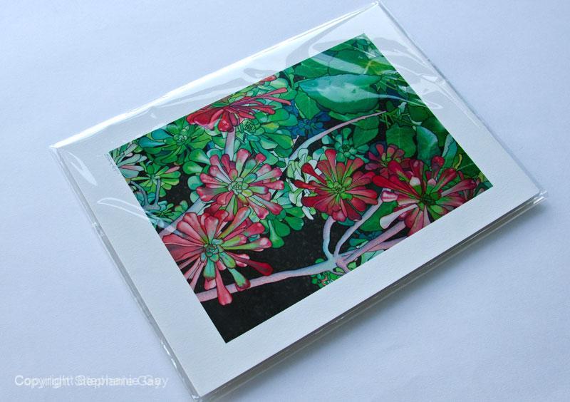 House Leeks - Image 2