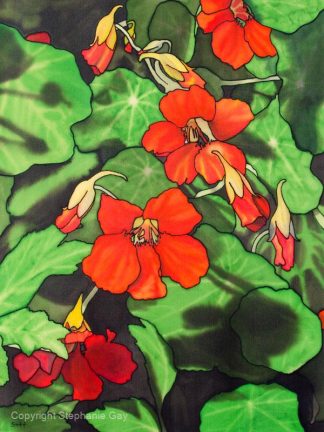 Nasturtiums