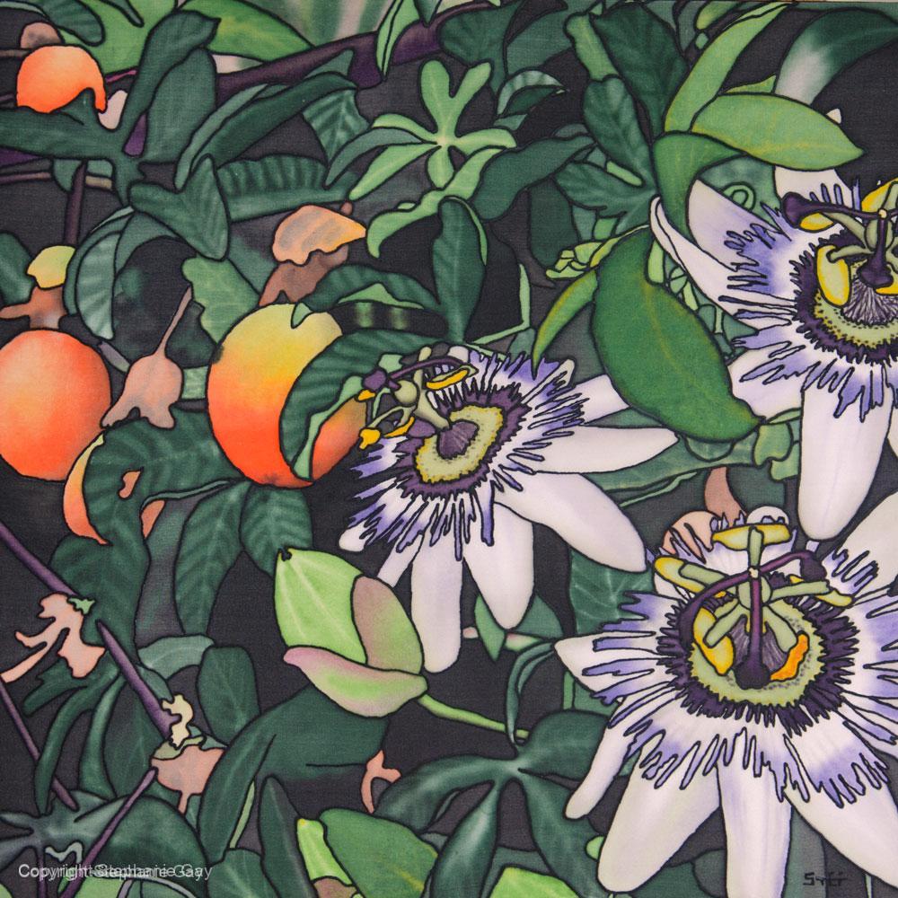 Passion Fruit - Passion Flowers