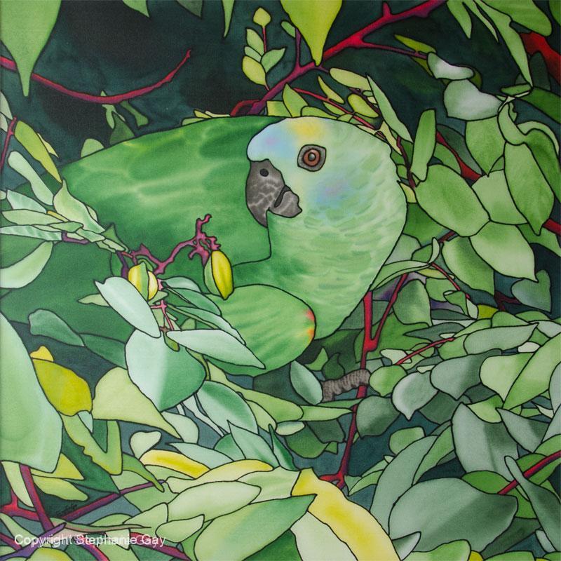 Pretty Polly - Parrot