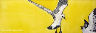 Quarrelling Gulls