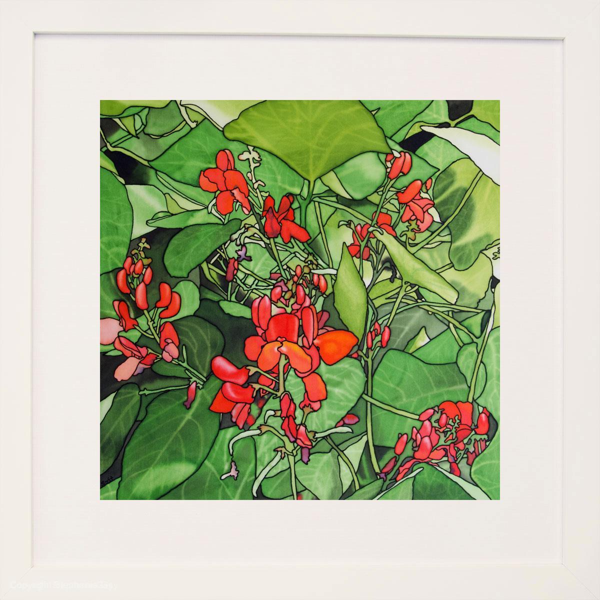 Runner Beans - Image 2