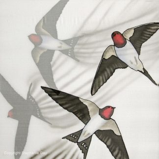 The Red Arrows - Swooping Swallows