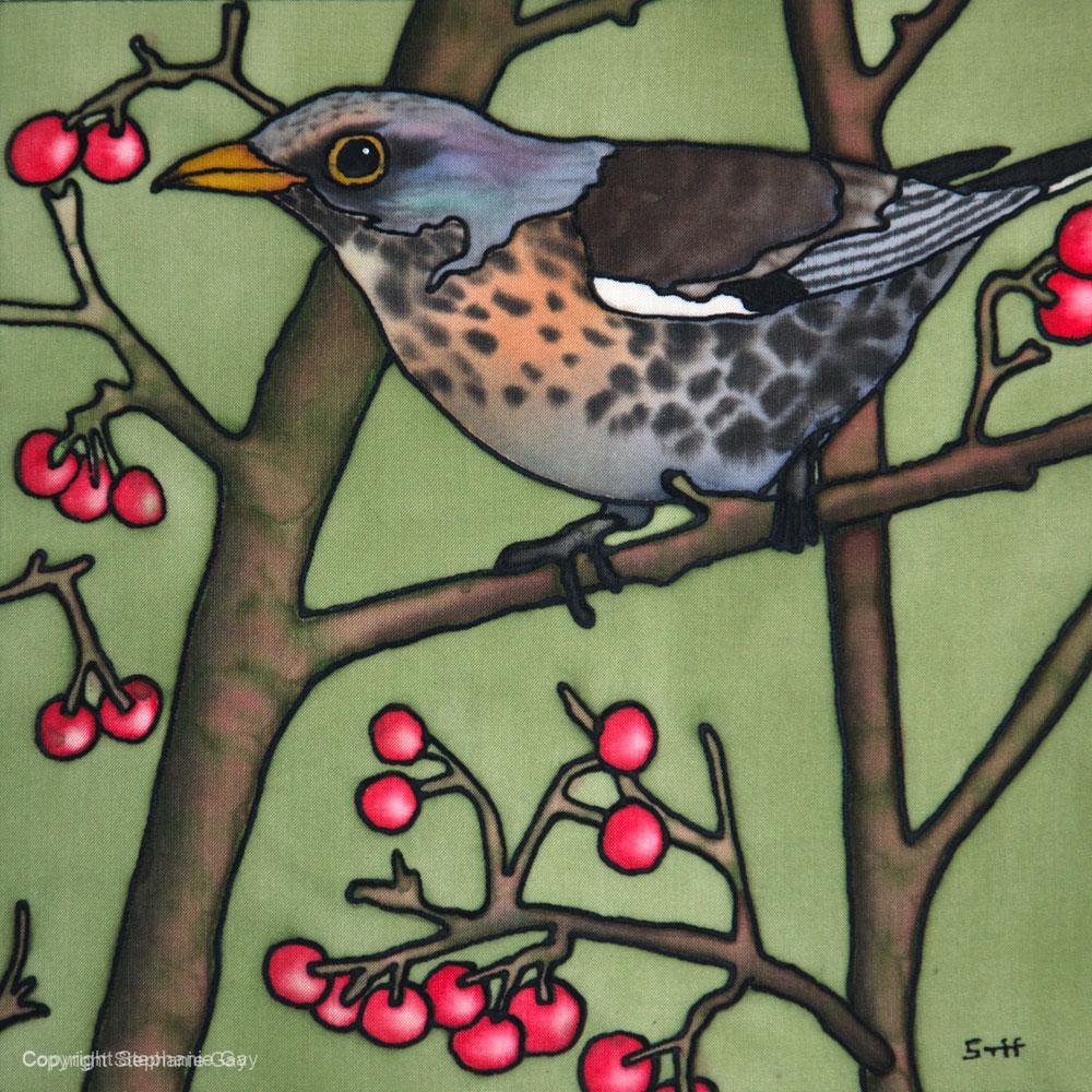 Winter Visitors - Fieldfare