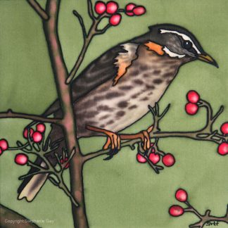 Winter Visitors - Redwing