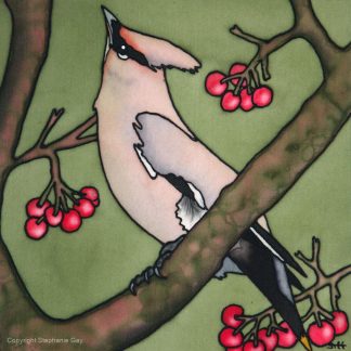 Winter Visitors - Waxwing