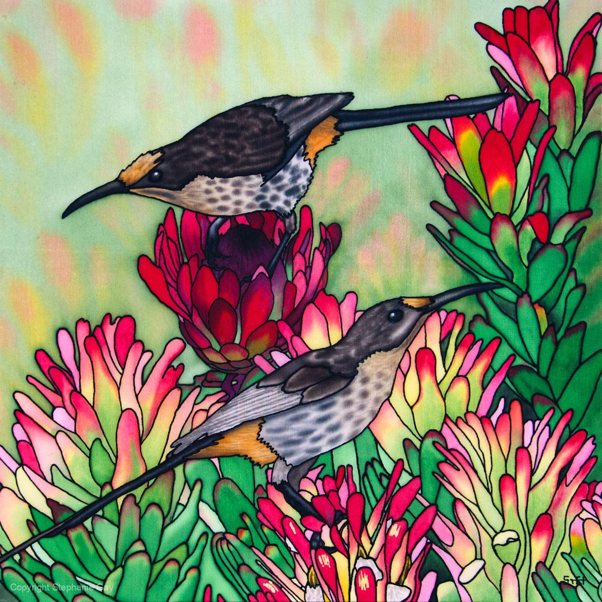 Sugarbirds and Protea Silk Painting. The painting shows two sugarbirds feeding on protea flowers